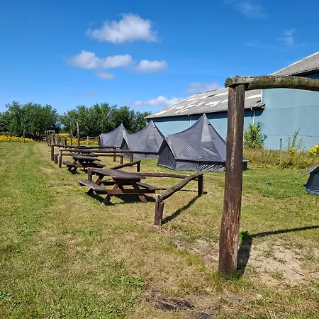 Almost Glamping Telt Vandrarhem Frifelt
